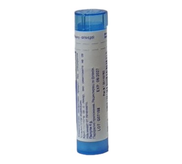 LACHNANTHES TINCTORIA 9 CH